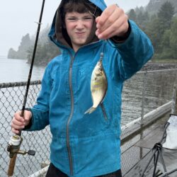 A boy in a blue jacket standing on a dock holding a fishing pole with a small surf perch caught on the end of the pole.