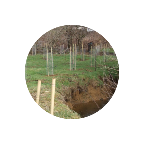 NORP Circle