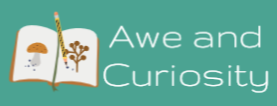 Awe and Curiosity Logo