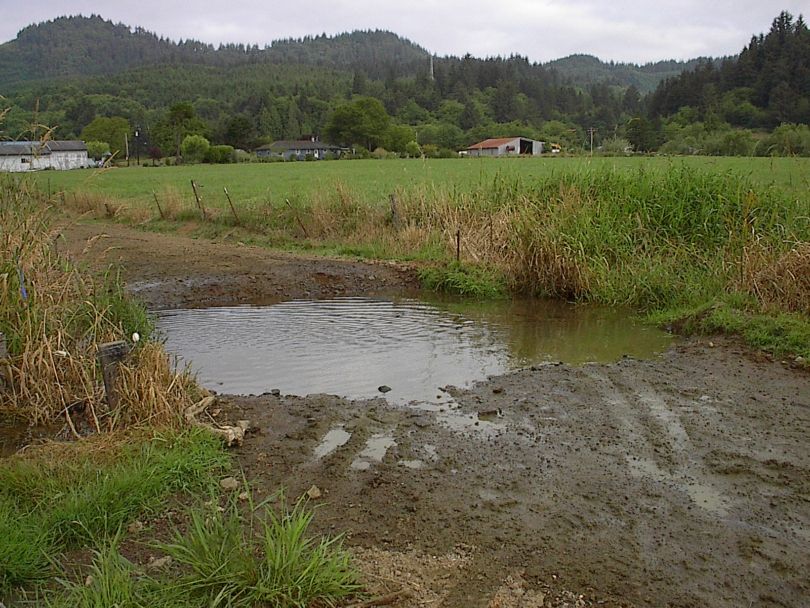big puddle in a road next to a field